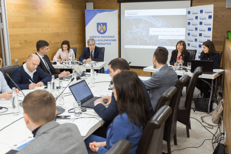 Coordonare protocolară și logistică a vizitelor oficiale și conferințelor internaționale în cadrul ANRE