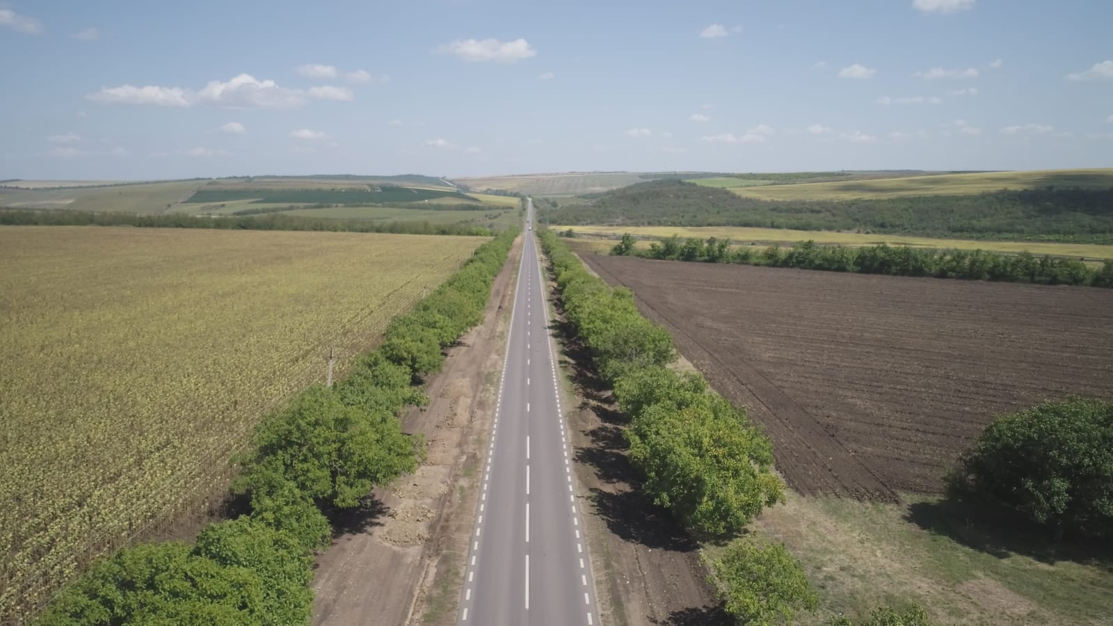 G125 Cimișlia – Iargara – Sărata Nouă — photo 2